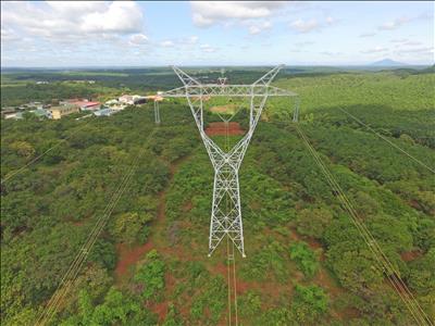 Truyền tải điện Thành phố Hồ Chí Minh 2 nỗ lực giữ vững hành lang an toàn tuyến 500kV Bắc – Nam lịch sử