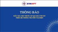 Thông báo đấu giá cho thuê cáp quang còn dư trên hệ thống truyền tải điện