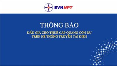 Thông báo đấu giá cho thuê cáp quang còn dư trên hệ thống truyền tải điện