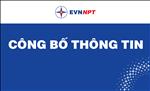 EVNNPT công bố thông tin theo quy định tại Nghị định số 47/2021/NĐ-CP của Chính phủ (Báo cáo tài chính năm 2022)