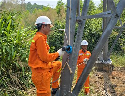 Giải pháp sáng kiến tời trợ lực siêu gọn nhẹ: Nâng cao hiệu quả và an toàn lao động khi vận chuyển dụng cụ làm việc trên cột