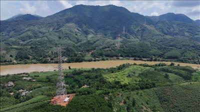 Công ty Truyền tải điện 1 nỗ lực vượt khó, sẵn sàng cán đích mục tiêu nhiệm vụ năm 2025