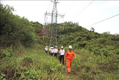 Công ty Truyền tải điện 3 đảm bảo cung cấp điện an toàn ổn định cho các hoạt động kỷ niệm 370 năm xây dựng và phát triển tỉnh Khánh Hòa