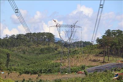 Truyền tải điện Lâm Đồng hưởng ứng Tuần lễ Quốc gia phòng, chống thiên tai năm 2023