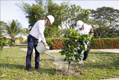 PTC3 hưởng ứng “Tết trồng cây – Đời đời nhớ ơn Bác Hồ” tại Nghĩa trang Liệt sĩ Bình Thuận