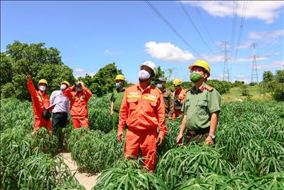 Thủ tướng yêu cầu rà soát phương án sản xuất điện trong bối cảnh xảy ra thiếu nước