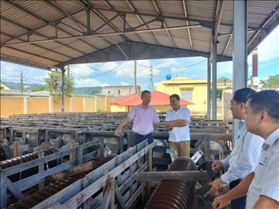 Phó Tổng Giám đốc EVNNPT Nguyễn Ngọc Tân kiểm tra công tác quản lý kho vật tư tại PTC3