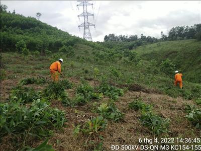 TTĐ Quảng Ngãi triển khai công tác chống cháy trong hành lang mùa khô 