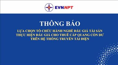 Thông báo lựa chọn tổ chức hành nghề đấu giá tài sản, thực hiện đấu giá cho thuê cáp quang còn dư trên hệ thống truyền tải điện