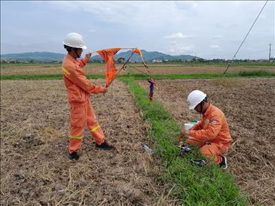 Truyền tải điện Phú Yên – hỗ trợ Công ty điện lực Phú Yên đốt diều vướng trên đường dây 110kV 