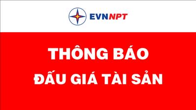 Thông báo đấu giá tài sản của Công ty Truyền tải điện 1