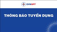 Thông báo tuyển dụng lao động  Cơ quan Tổng công ty Truyền tải điện Quốc gia
