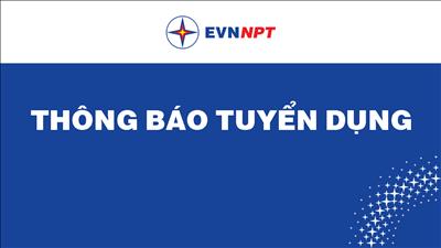 Thông báo tuyển dụng lao động Cơ quan Tổng công ty Truyền tải điện Quốc gia