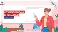 Video clip: Quy định mức lương của chuyên gia tư vấn trong nước làm cơ sở xác định giá gói thầu