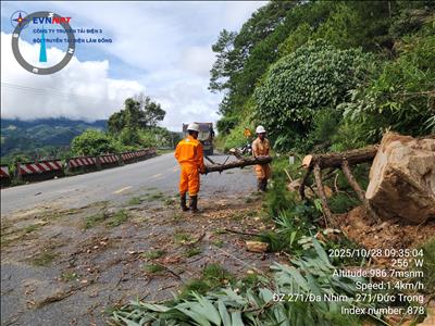 Việc nhỏ bé, ý nghĩa lớn