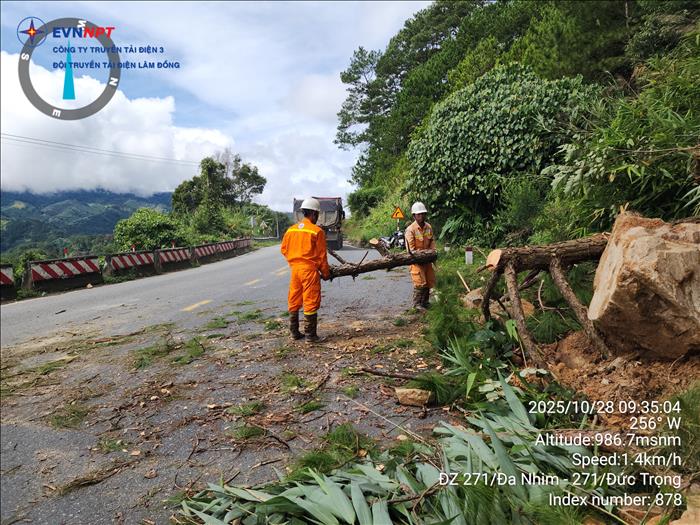 Việc nhỏ bé, ý nghĩa lớn