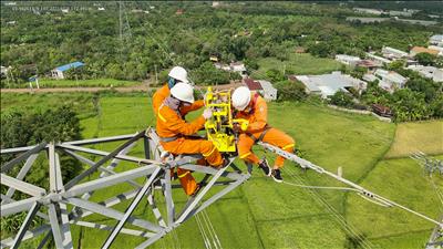 Phối hợp xử lý tưa dây chống sét không cần cắt điện