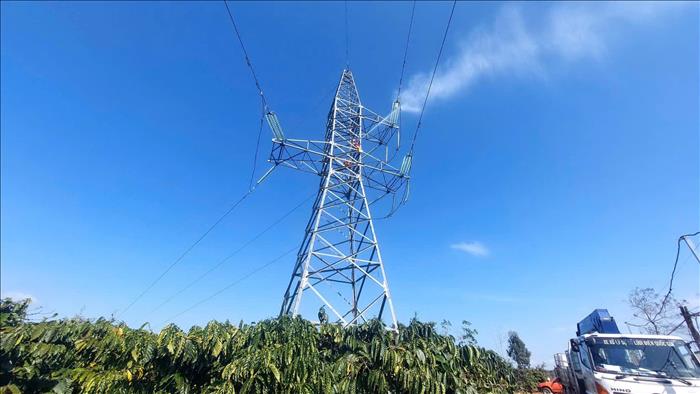 PTC3 sẵn sàng bảo đảm cung cấp điện phục vụ bầu cử đại biểu Quốc hội khóa XVI và Hội đồng nhân dân các cấp 