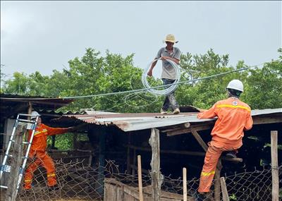 Công ty Truyền tải điện 3 chủ động, khẩn trương triển khai các biện pháp ứng phó với bão số 13 (KALMAEGI)