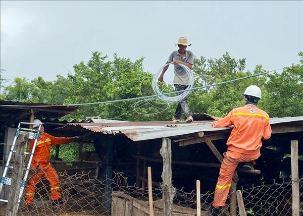 Công ty Truyền tải điện 3 chủ động, khẩn trương triển khai các biện pháp ứng phó với bão số 13 (KALMAEGI)