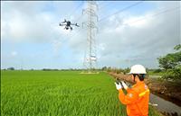 Chị Tạ Huỳnh Như - Truyền tải điện Cà Mau: Bông hồng thép trên những cung đường dây truyền tải điện