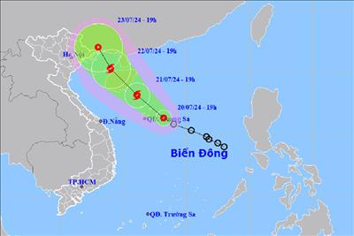 Tổng công ty Truyền tải điện Quốc gia yêu cầu các đơn vị chủ động ứng phó với áp thấp nhiệt đới và mưa lớn