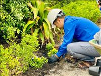 Chi đoàn Truyền tải điện Thành phố Hồ Chí Minh trồng 200 cây xanh hưởng ứng “Tết trồng cây Đời đời nhớ ơn Bác Hồ” 