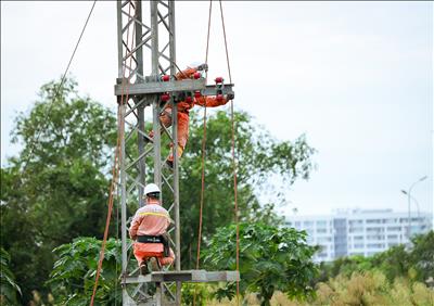 Truyền tải điện Thành phố Hồ Chí Minh hoàn thành việc dựng cột tạm (KEMA), đường dây 220 kV Cát Lái – Thủ Đức để giảm tải cột 14 hiện hữu.