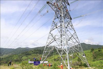 PTC3 đồng hành cùng EVNNPT vượt khó trong 6 tháng năm 2023