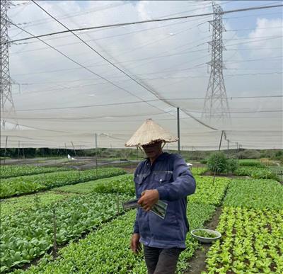 Đảm bảo hành lang xanh – Chủ động giữ vững dòng điện trước mùa mưa bão