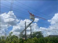 Hơn 150 công nhân đường dây Công ty Truyền tải điện 4 được huy động thi công đảm bảo an toàn lưới điện truyền tải khu vực miền Nam trong mùa mưa bão