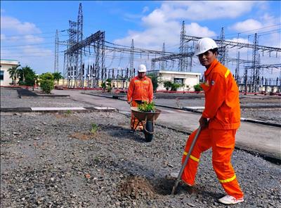 Truyền tải điện Tây Ninh hưởng ứng phong trào 