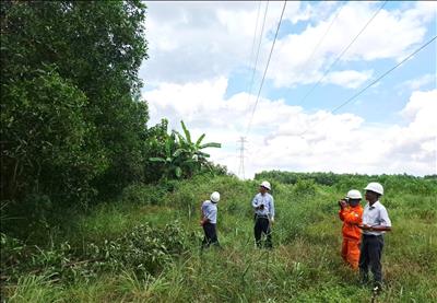 PTC4 tăng cường ứng phó thời tiết bất thường, bảo đảm vận hành an toàn lưới điện truyền tải