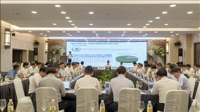 PTC3 tăng cường phối hợp vận hành hệ thống điện miền Trung, chủ động chuẩn bị mùa khô 2027