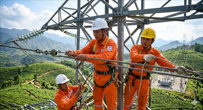 EVNNPT phát động phong trào thi đua cao điểm “100 ngày đêm đẩy nhanh tiến độ, hoàn thành các dự án truyền tải điện trọng điểm năm 2026”
