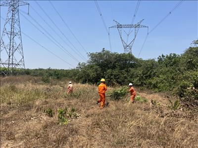 Đẩy mạnh công tác phòng chống cháy hành lang lưới điện khu vực tỉnh Bình Dương, Bình Phước và Tây Ninh