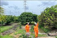Truyền tải điện Cần Thơ chủ động tăng cường quản lý vận hành sẵn sàng ứng phó mưa bão năm 2026