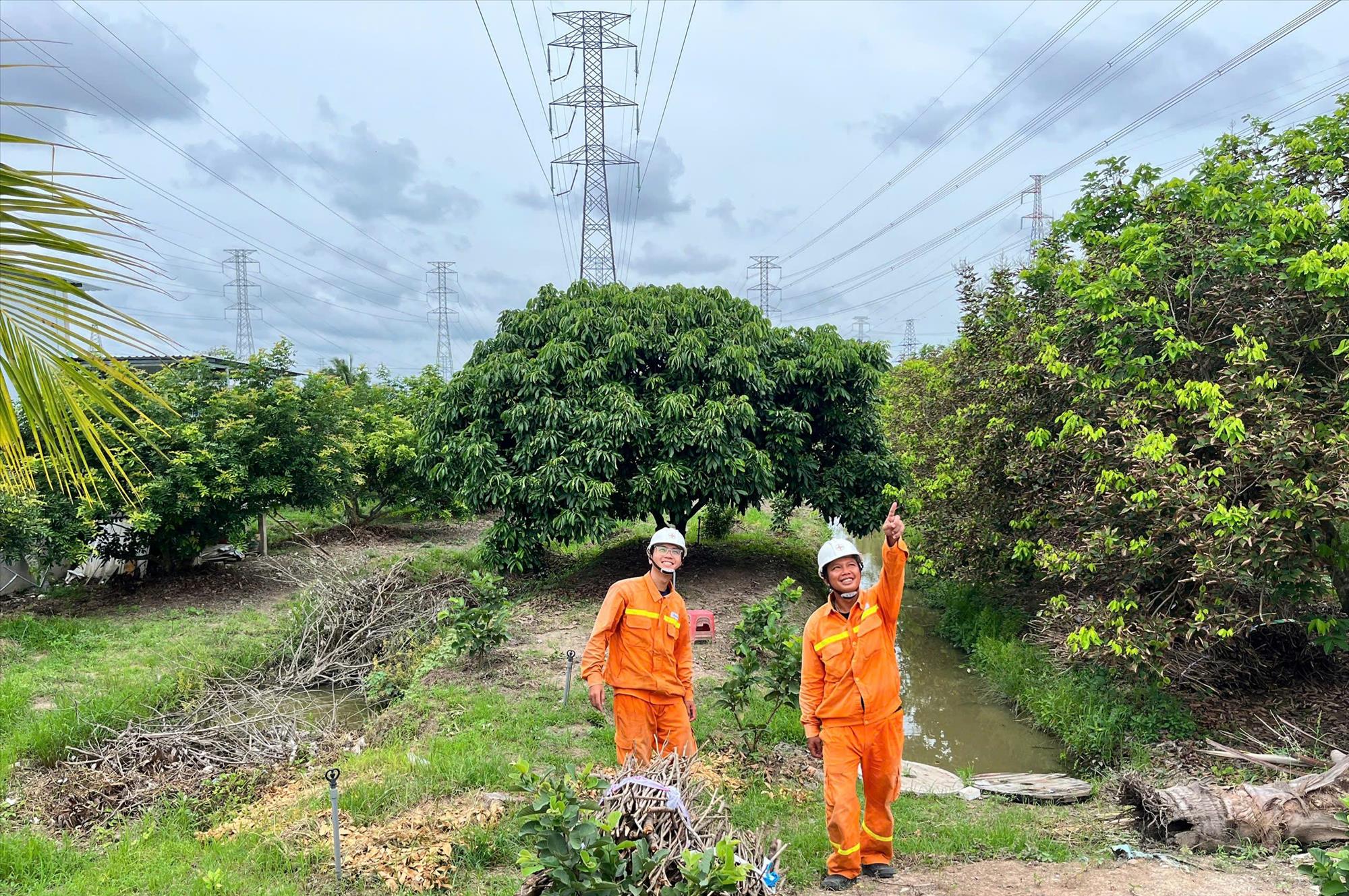 Truyền tải điện Cần Thơ chủ động tăng cường quản lý vận hành sẵn sàng ứng phó mưa bão năm 2026