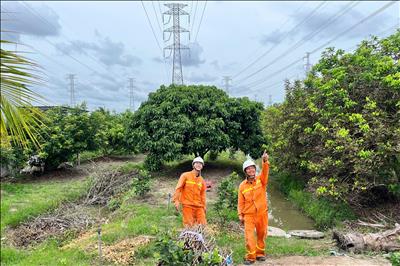 Truyền tải điện Cần Thơ chủ động tăng cường quản lý vận hành sẵn sàng ứng phó mưa bão năm 2026