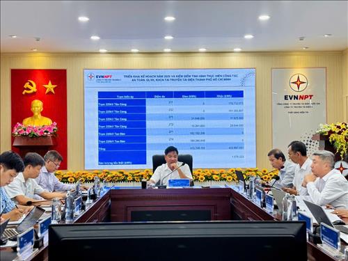 Công ty Truyền tải điện 4 kiểm tra đánh giá thực hiện kế hoạch năm 2025 tại Truyền tải điện TP. Hồ Chí Minh