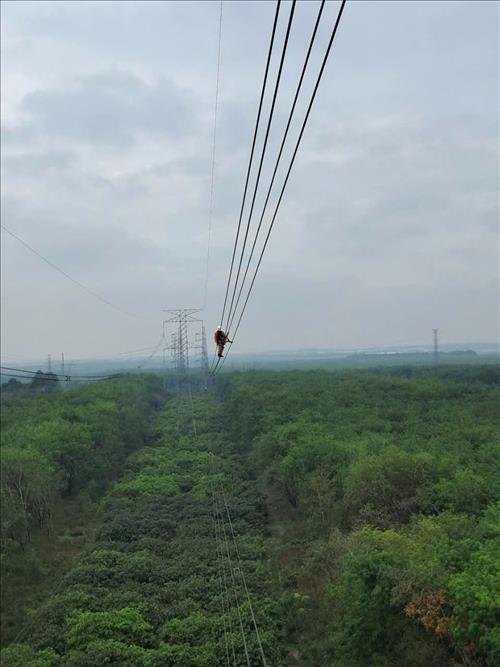 Tăng cường các giải pháp đảm bảo vận hành lưới truyền tải điện dịp Lễ 30/4 và Quốc tế lao động 1/5/2025 khu vực Truyền tải điện miền Đông 2
