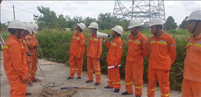 Huấn luyện, sát hạch khóa huấn luyện “An toàn chặt cây gần đường dây trên không”