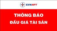 Thông báo lựa chọn Tổ chức hành nghề đấu giá tài sản Cho thuê sợi cáp quang của EVNNPT thuộc PTC4 quản lý
