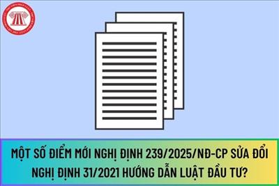 Điểm mới của Nghị định 239/2025/NĐ-CP hướng dẫn thi hành một số điều của Luật Đầu tư