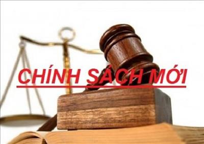 Những quy định mới có hiệu lực từ 1/7/2025