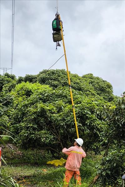 Hoàn thành bảo dưỡng Đường dây 220kV Trung tâm Điện lực Long Phú – Cần Thơ, sẵn sàng đảm bảo vận hành mùa mưa bão