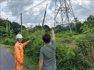  Truyền tải điện Vĩnh Long chủ động phòng ngừa và sẵn sàng ứng phó với thời tiết bất thường 