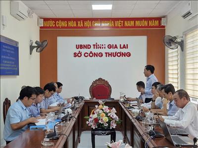PTC3 làm việc với Sở Công Thương tỉnh Gia Lai về phối hợp bảo vệ lưới điện truyền tải