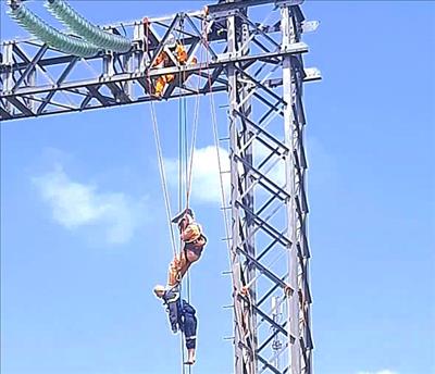 Truyền tải điện Vĩnh Long tổ chức khoá huấn luyện nghiệp vụ “cứu người trên cao”