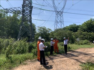 Chủ động phòng chống thiên tai để đảm bảo vận hành an toàn lưới điện truyền tải